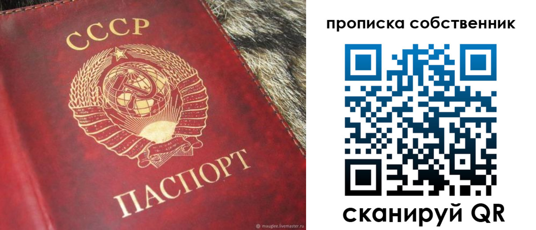 прописка в квартире в Биробиджане